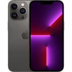 Mazlietots telefons (Marginal) Apple iPhone 13 Pro 256GB Grey